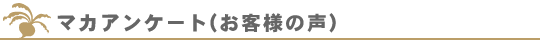 }JAP[g(ql̐)